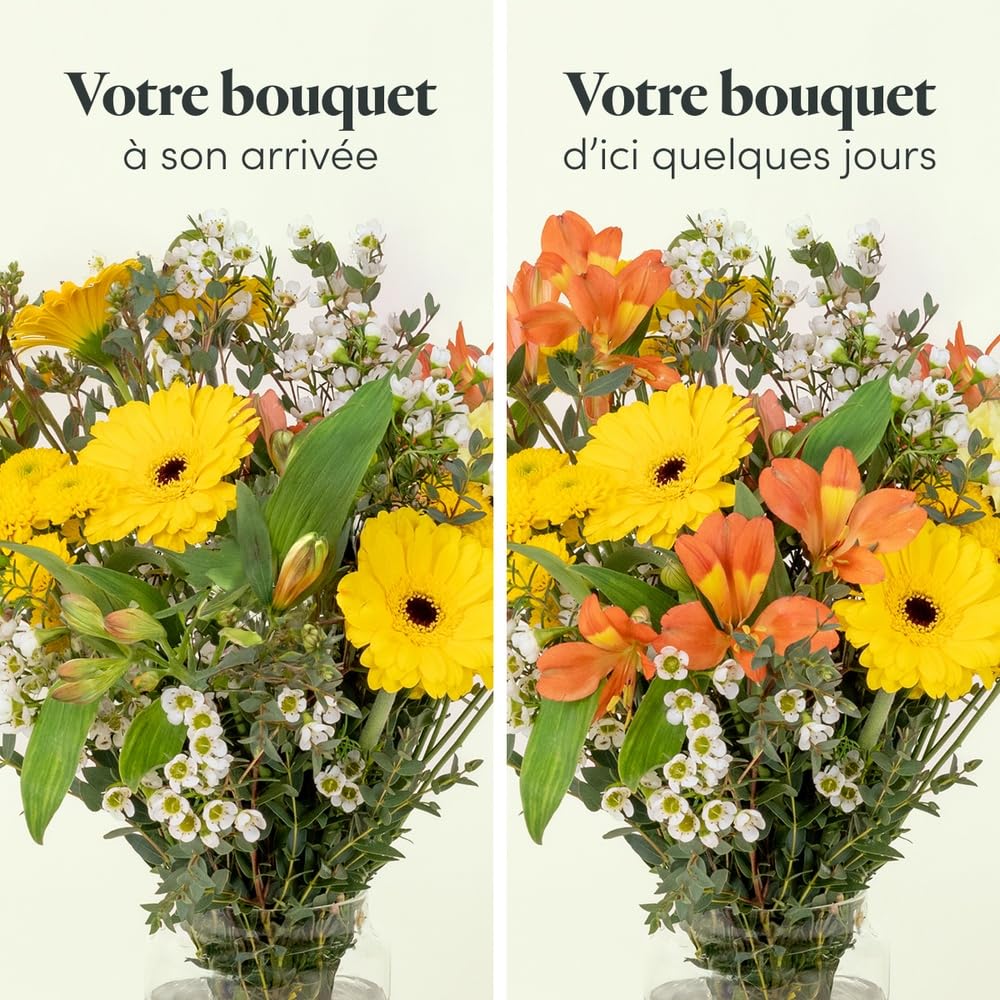 Fleurs et Délices Petit Soleil Grand Bouquet Jaune et Orange 14 Tiges