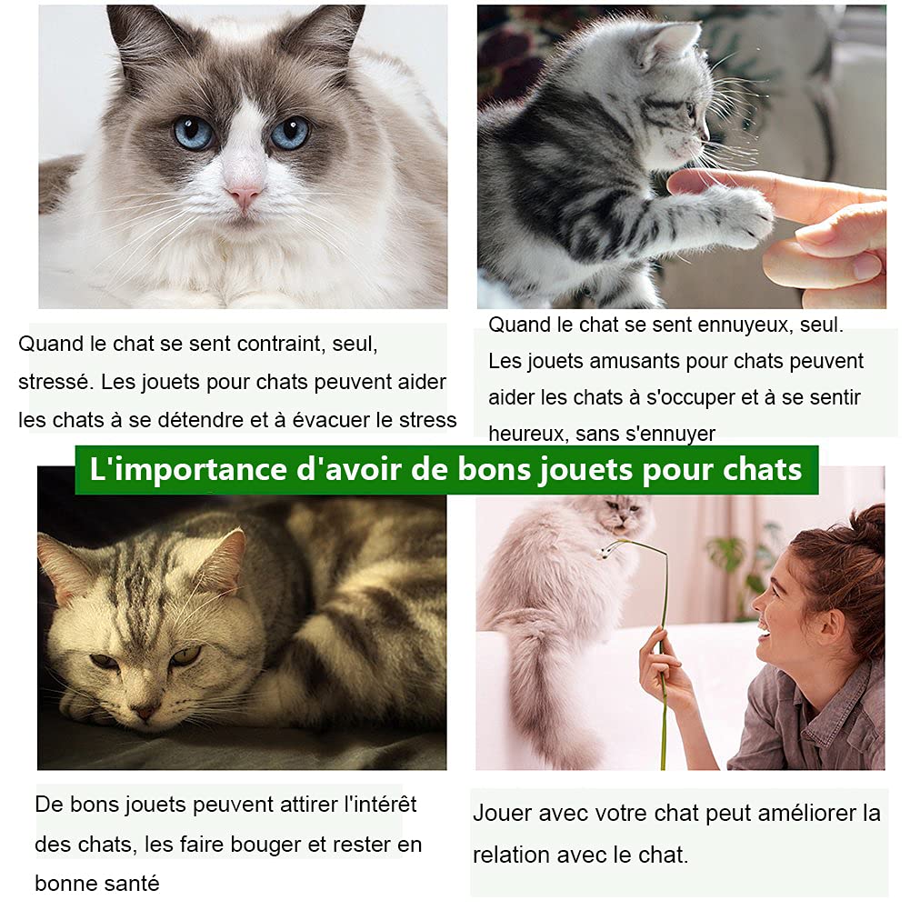 Jouets Chat, 23 Pièces Lot de Jouets pour Chaton Intérieur, Jeu Interactif avec Plumes Baguette pour Chaton, Cataire Jouet Poisson, d'herbe à Chat Naturel Matatabi