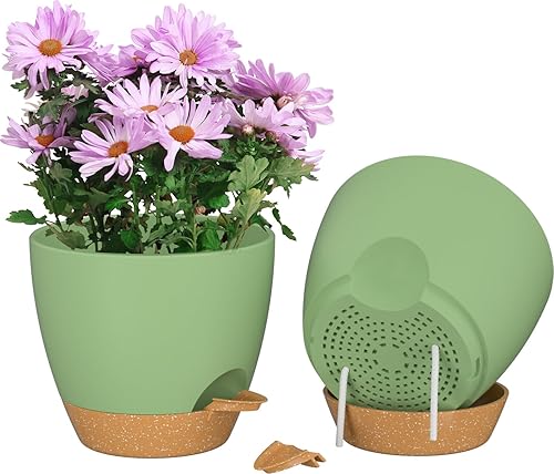 ZMTECH Juego de 2 macetas de 8 pulgadas para plantas de interior, macetas de riego automático con agujeros de drenaje y platillo para plantas al