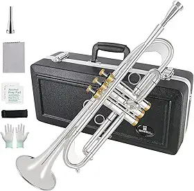 ROWELL Trompete Bb, Trompete Profissional para Estudante, Conjunto de Trompete Padrão de Instrumentos de Latão, com Caixa de Trompete Profissional, Kit de Limpeza, Bocal de Trompete Original 7C, Pano e Luvas (Prata)