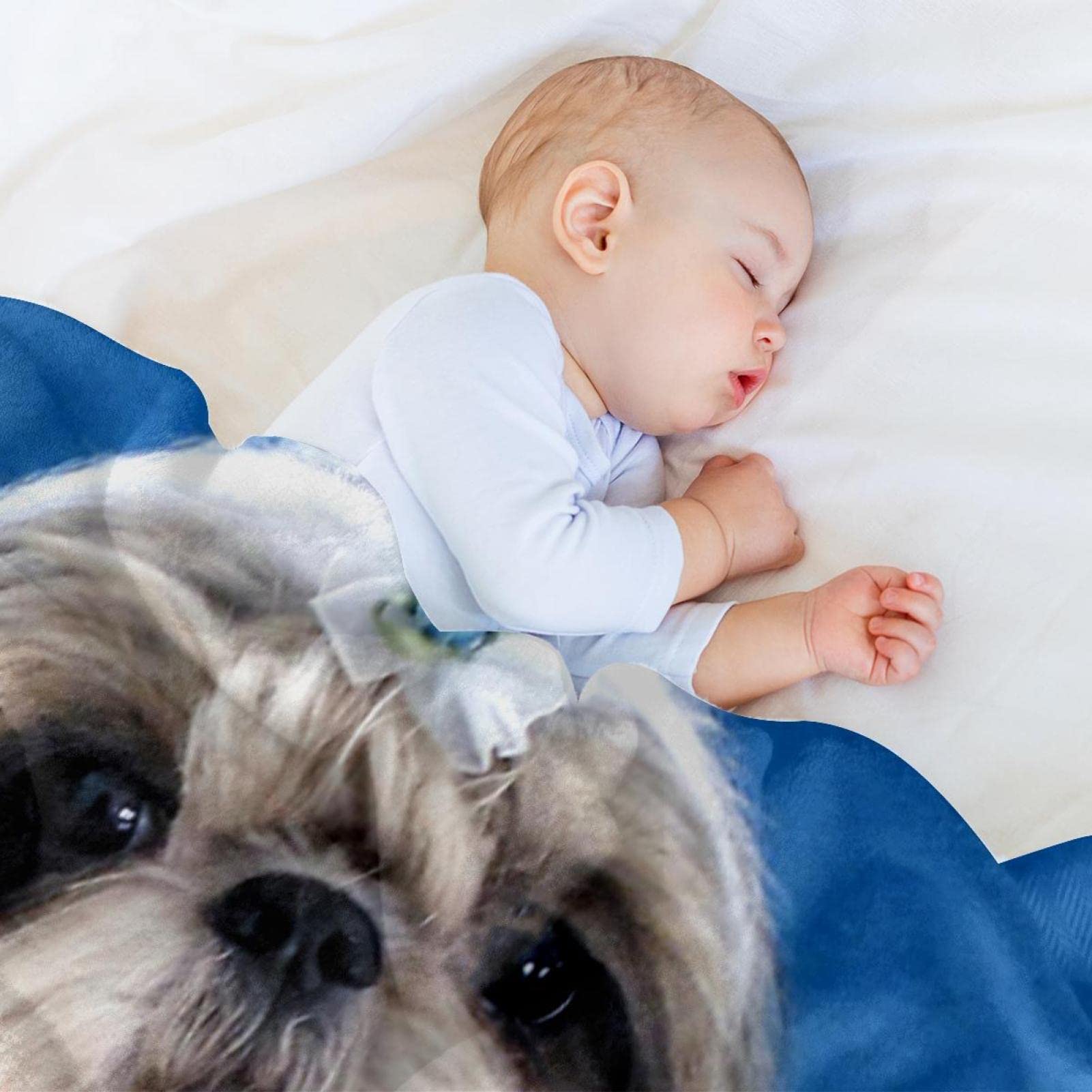 Couverture polaire super douce pour chien Shih Tzu Chiot