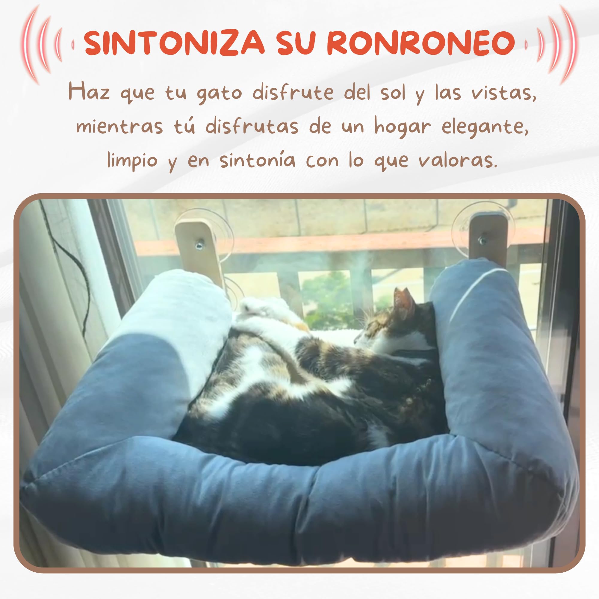 CATTUNED | Cama Gato Ventana, Madera Maciza + Cama-Nido Ultra Suave, Ventosas Extra Fuertes, Diseño Minimalista, Ideal para Interior Moderno, Hamaca de Gato para Ventana, Hamaca para Gatos Grandes