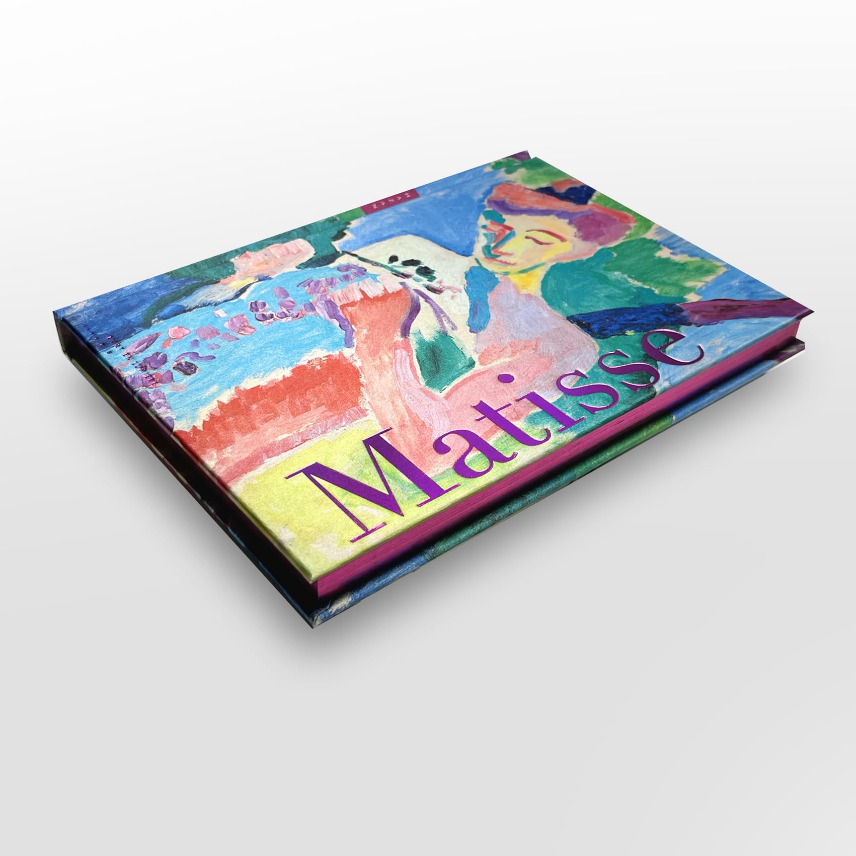 Matisse. L'art en lumière