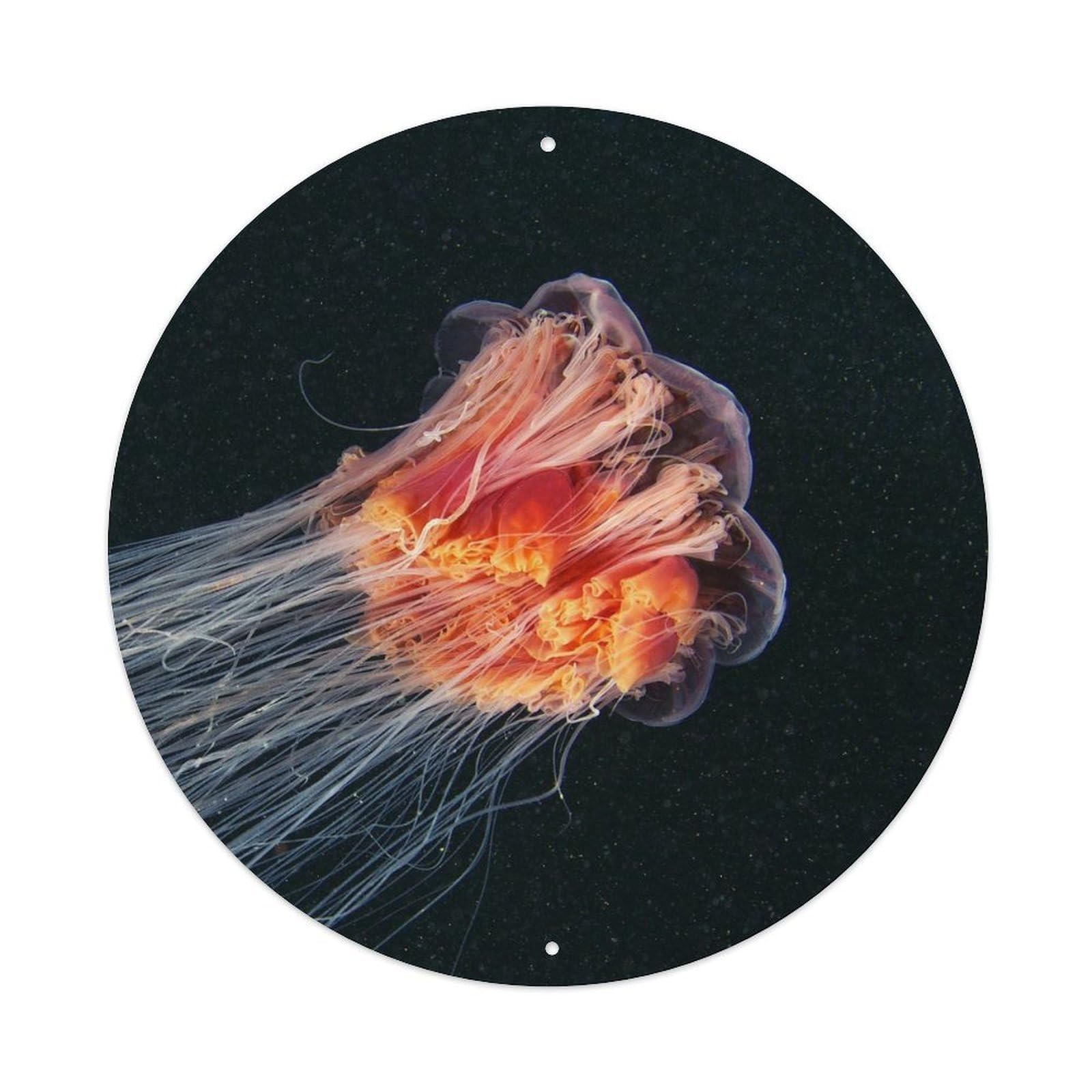Animal Attention-grabbing Jellyfish Metal Tin Sign