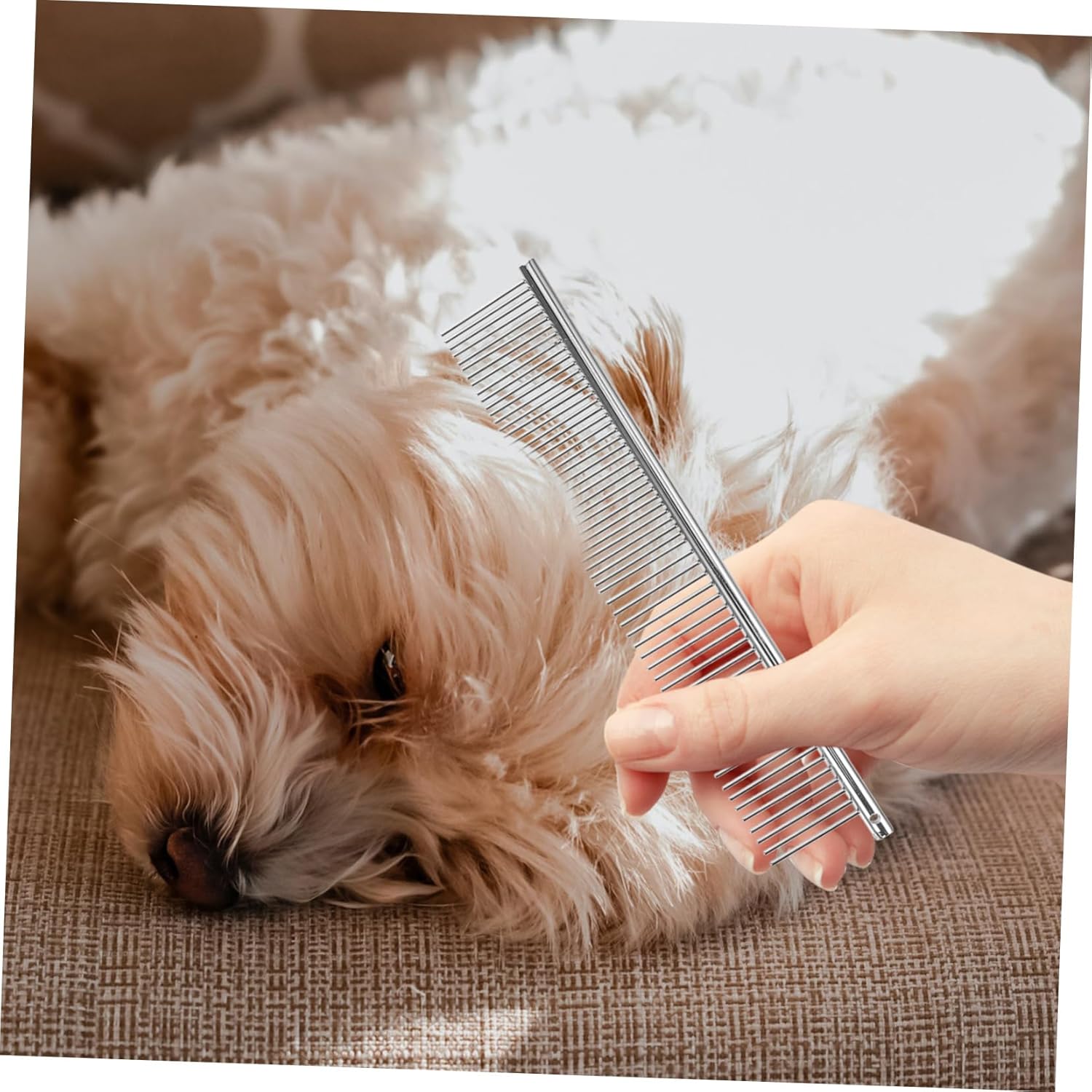 1 Set Pet Grooming Scissors for Dogs and Cats Includes Straight and Curved Shears Portable Storage Bag for Easy and Enjoyable Grooming