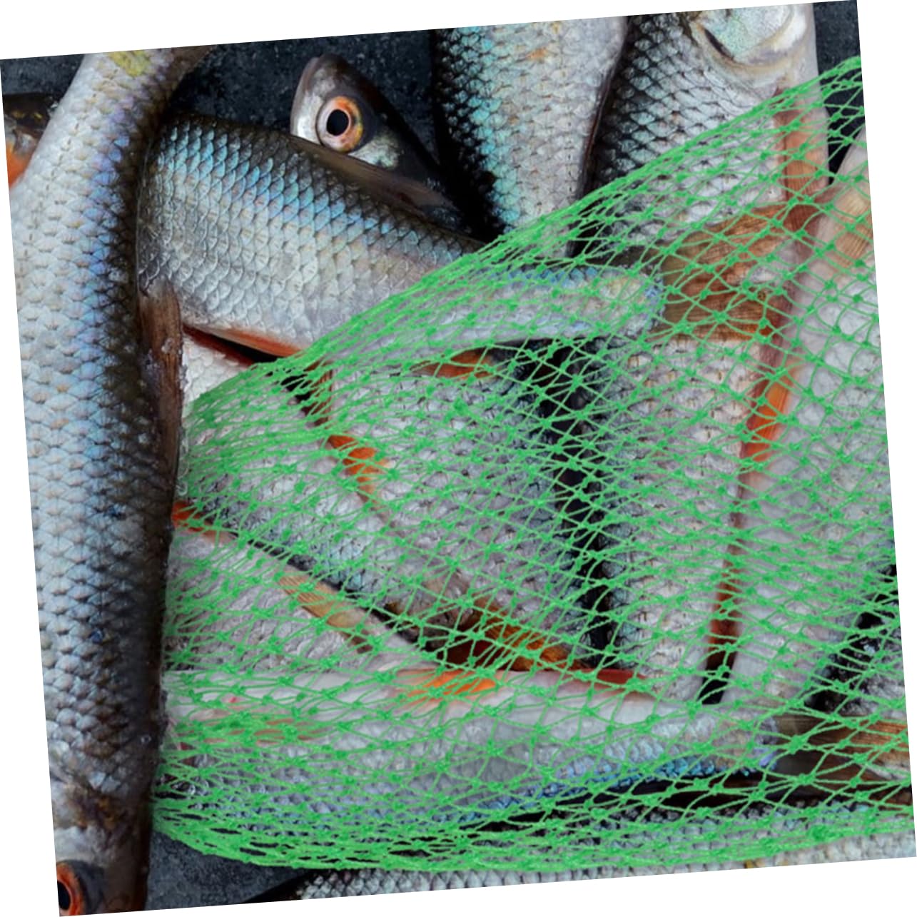 Abaodam Bolding Web Web Web catturare stagno Maglia netto Piccola rete da pesca rete da pesca con manico accessorio per la pesca rete per pesci d'acquario reti da pesca nylon Verde