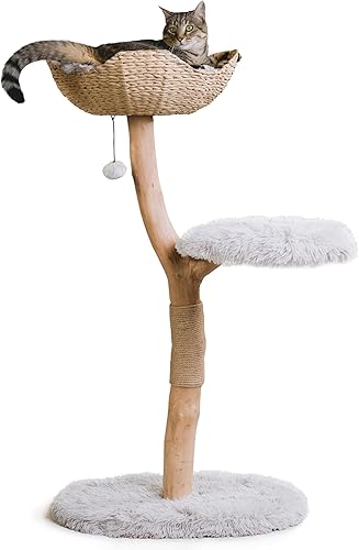 Miniatura 10 de MAU LIFESTYLE - Torre de árbol de madera para gatos, moderno condominio para gatos de una sola rama, árbol de madera para gatos, escalada para