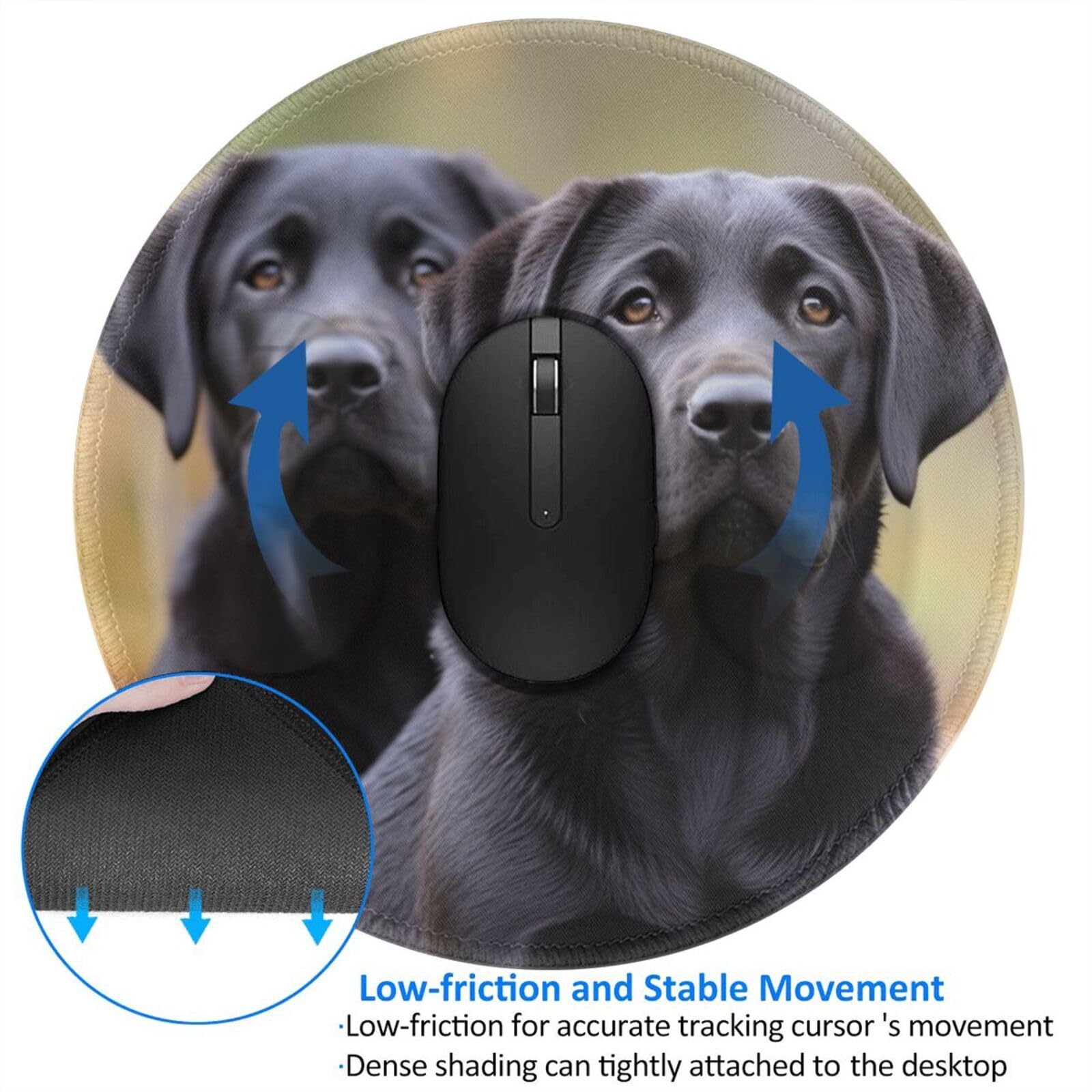 Kisbeibi Hondengeleider, trainingsvest, multifunctioneel hondentrainerjack met meerdere zakken, waterdicht, professioneel trainingsvest voor reizen, outdoor, training, jacht, fotowerkkleding