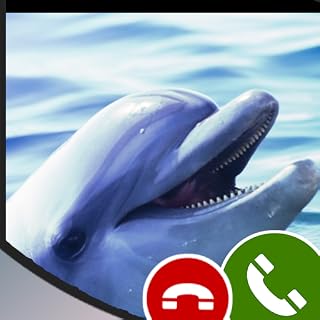 Fake call from Whale-Free Prank