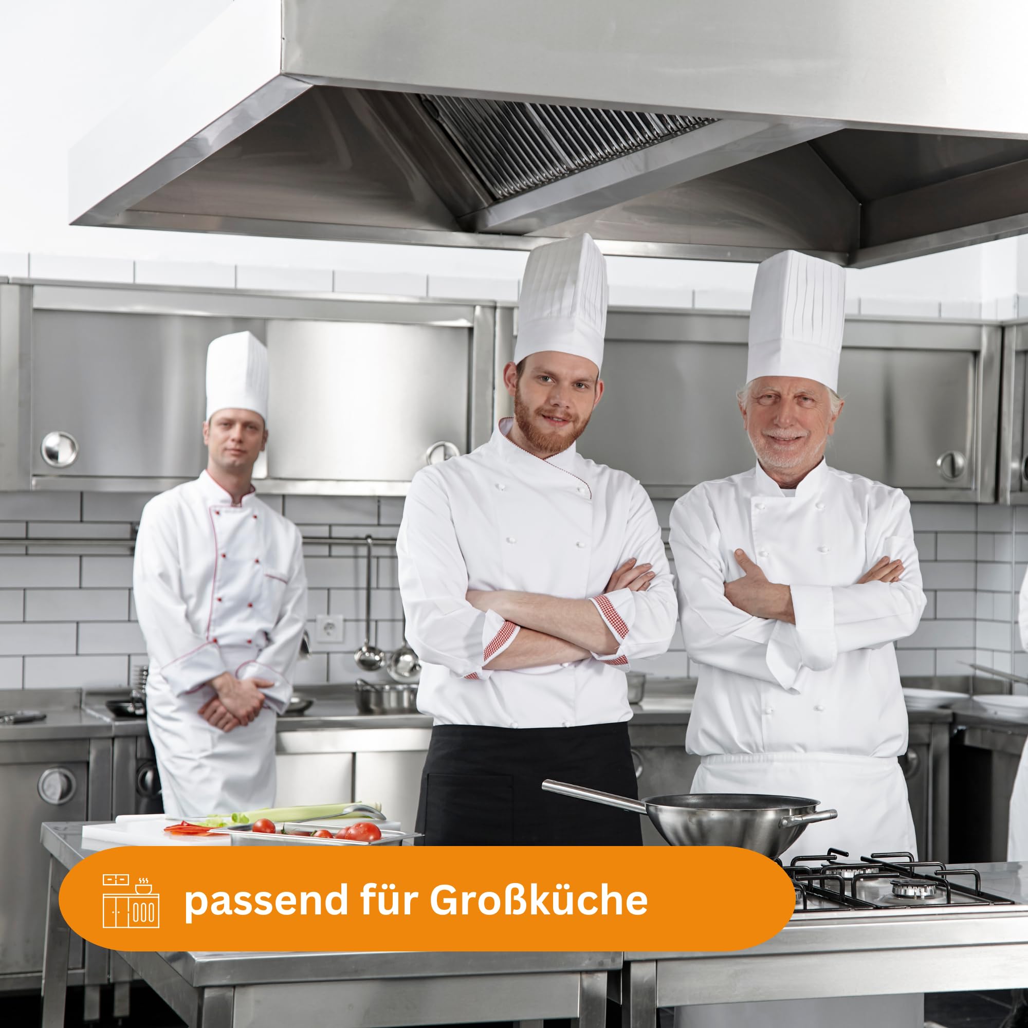 Drehzahlregler REM10A - 13 x 8,5 x 6 cm - Manuelle Ausführung - Kunststoffgehäuse IP54 - Dunstabzugshaube Ablufthaube Ventilator Drehzahlsteuerung Leistungsregler für Gastronomie