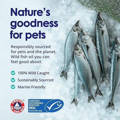 Miniatura 3 de Aceite de pescado puro omega 3 para perros, capturado en la naturaleza de Islandia, suplemento de piel y pelaje para desprendimiento, picazón en la