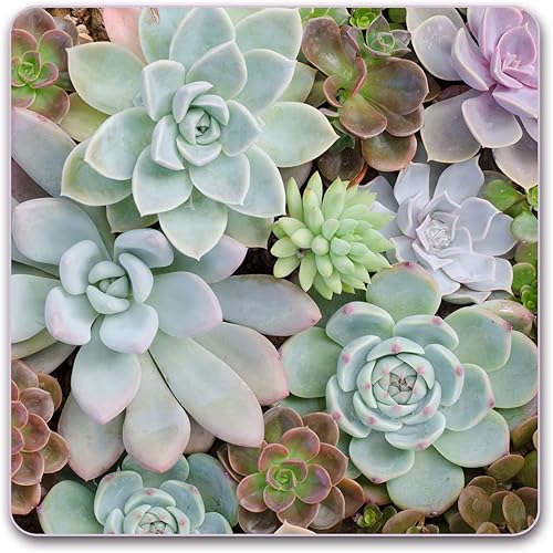 Miniatura 7 de Alfombrilla de mouse cuadrada, alfombrilla de mouse premium, alfombrilla de mouse cuadrada impermeable, base de goma antideslizante 9 x 9 pulgadas