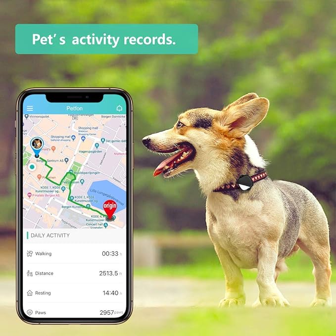 dog tracker without monthly fee