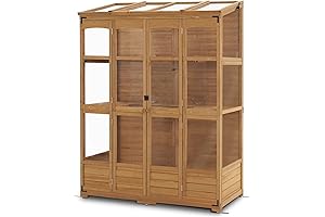 Backyard Studio House Kit for Peace and Reflection