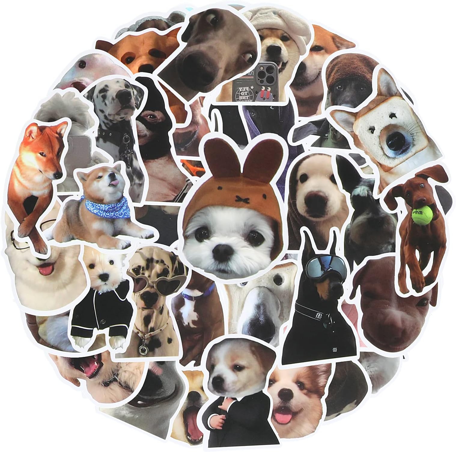 Cobee Funny Sticker Set, Cute Dog Decals, 50 Pcs Waterproof Vinyl Stickers - Aesthetic Decals for Dog Lovers - Water Bottle, Scrapbook, Phone