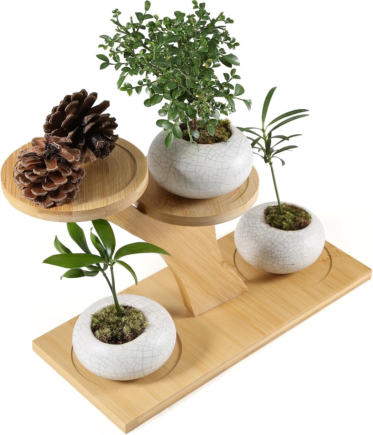 Window Sill Plant Shelf，Desk Desktop Bamboo Plant Stand， Table Succulent Plant Stand for Home, Office, Living Room, Bedroom Decoration(2set)