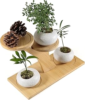 Window Sill Plant Shelf，Desk Desktop Bamboo Plant Stand， Table Succulent Plant Stand for Home, Office, Living Room, Bedroom Decoration