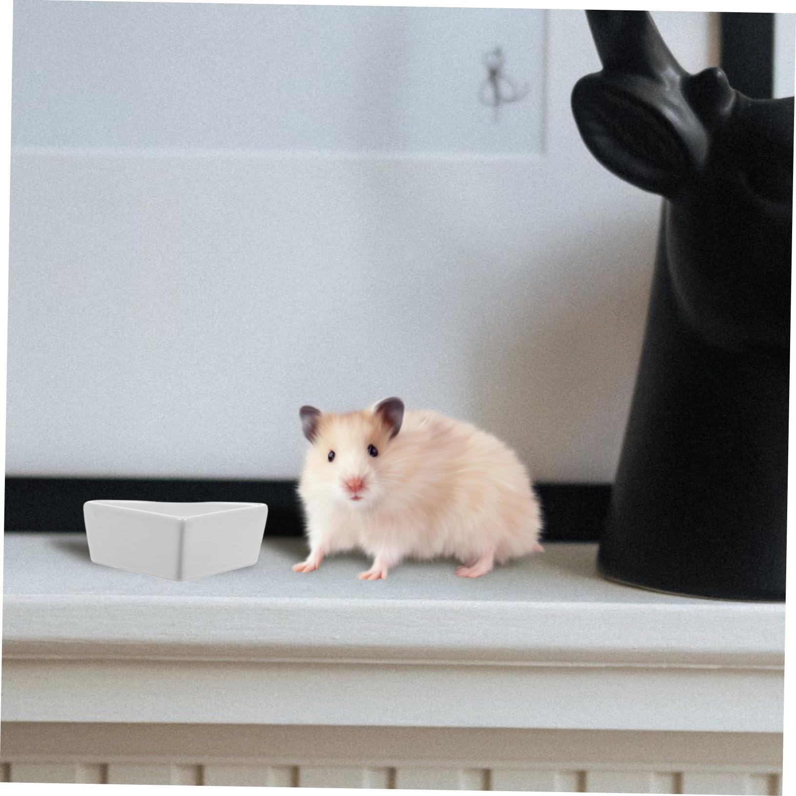 Alipis 1 Pz Ciotole Per Acqua Per Animali Domestici Ciotole Per Piccoli Animali Per Cibo Per Criceti Per Cibo E Acqua Per Ceramica Bianca Per