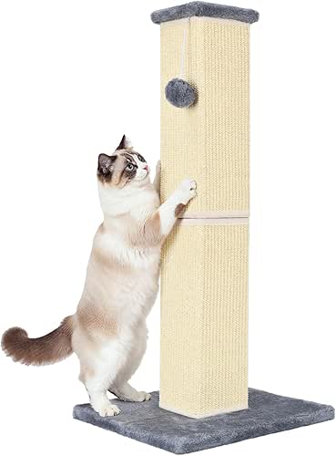 32" Tall Cat Scratching Post for Large Indoor Cats &