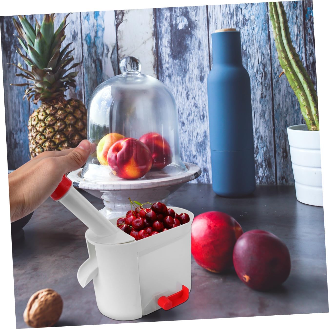 Multifunctional Cherry Pitter Tool Non-Slip Squeeze Grape and Cherry Seed Remover Sturdy Kitchen Gadget for Fruit Preparation