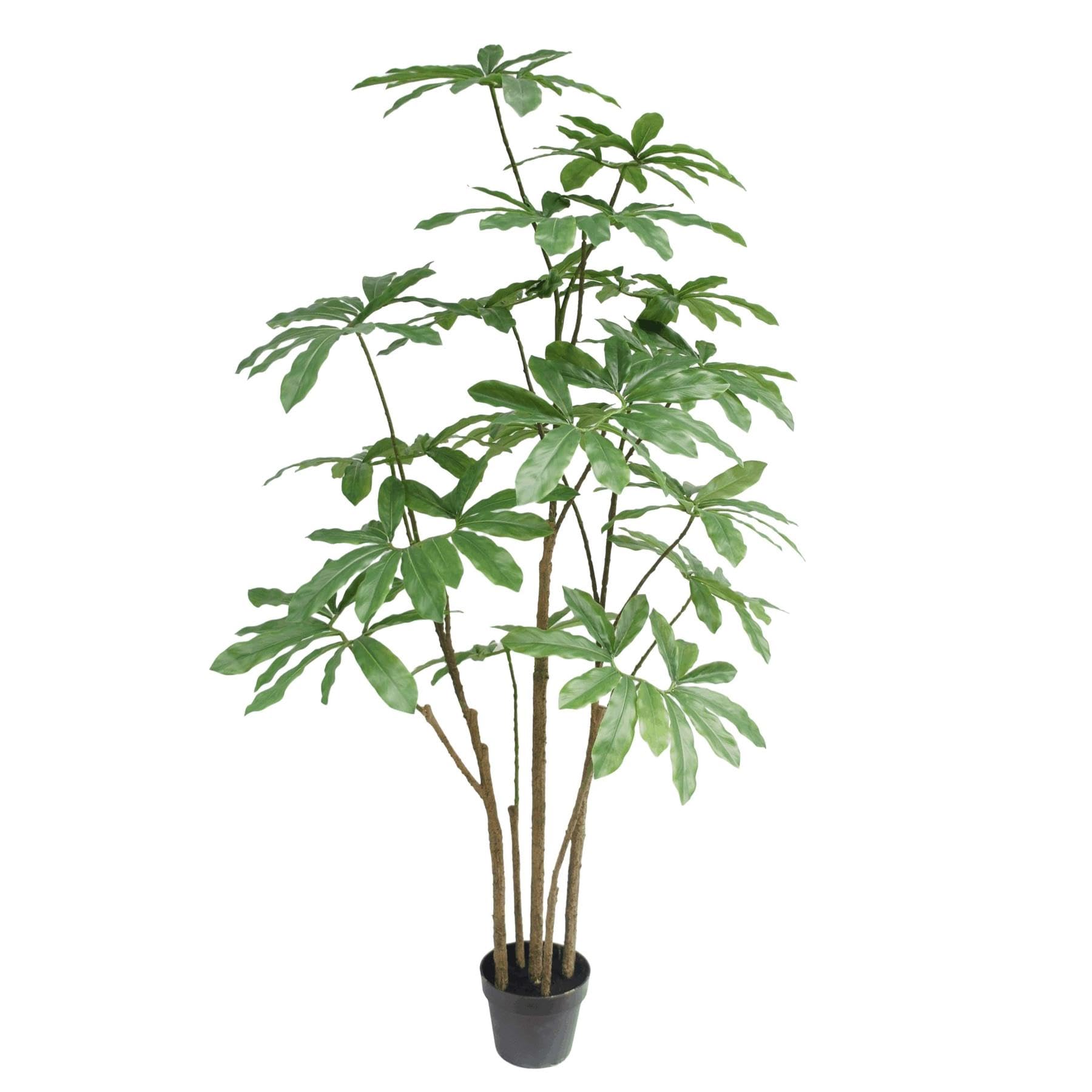 Large Realistic Artificial Tree - Dwarf Umbrella