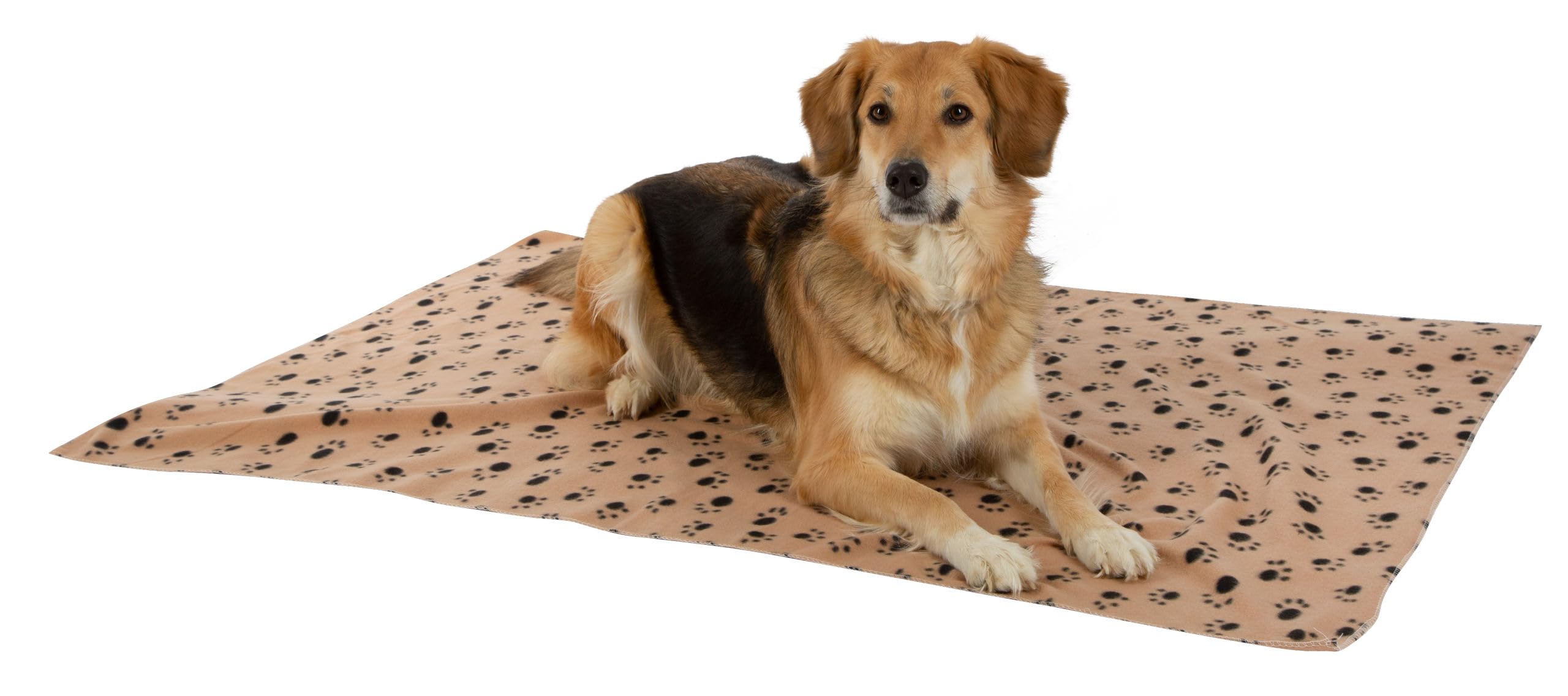 Kerbl coperta per cani Stella beige 140x100 cm pile motivo zampe protezione mobili