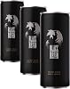 Black Bruin Enerji 250 ml (3 paketi)