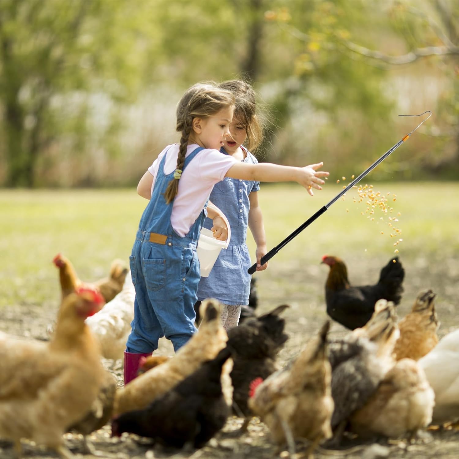 Filet de pêche pour poules et chats 50 x 30 x 15 cm, filet d'atterrissage avec cadre renforcé