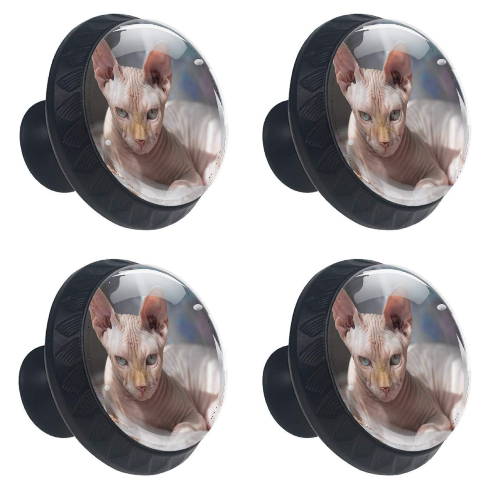 Boutons ronds en verre Sphynx haut de gamme pour tiroir et coffre 30 mm