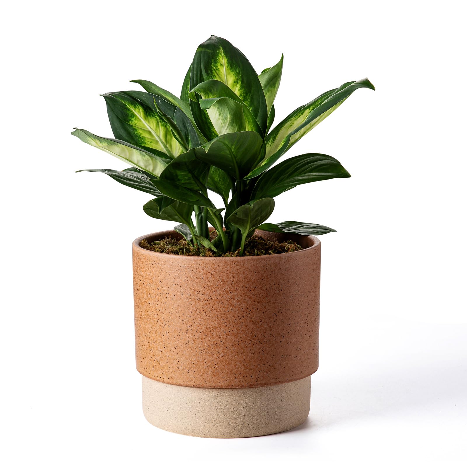 Chubacoo Self Watering Ceramic Planter: 8 Inch Plant Pot with Drainage Hole & Water Storage Plus for Outdoor & Indoor Plants, Succulents, Herbs -