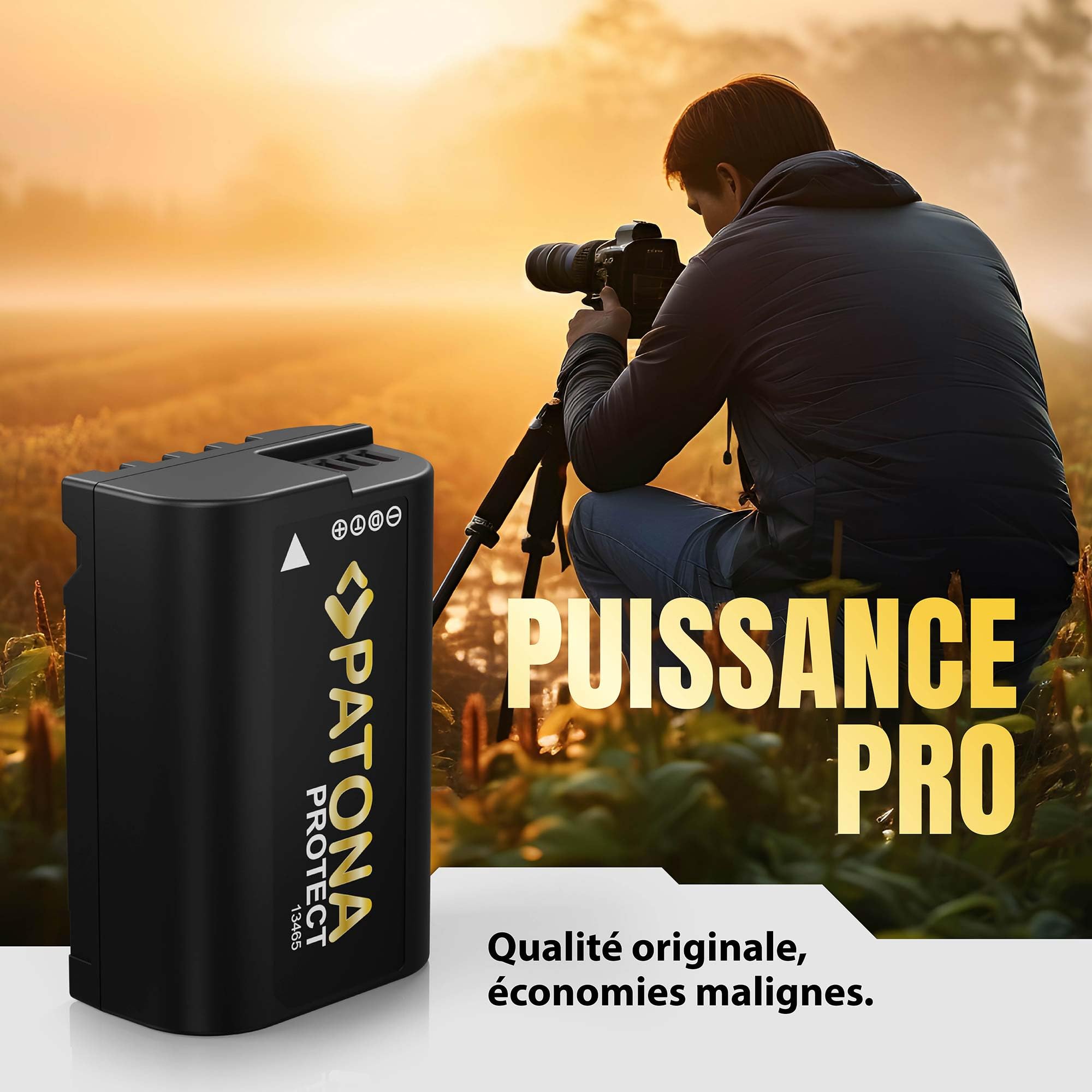 PATONA 2X Protect Batterie pour Panasonic DMW-BLK22 2600mAh
