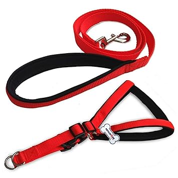 Petlicious & More (Size: Extra Large, Thick: 1.50 Inch) Dog Harness Leash Set Adjustable Dog Harness and Leash Set for Daily Outdoor Walking Running Training (Extra Large) - Red