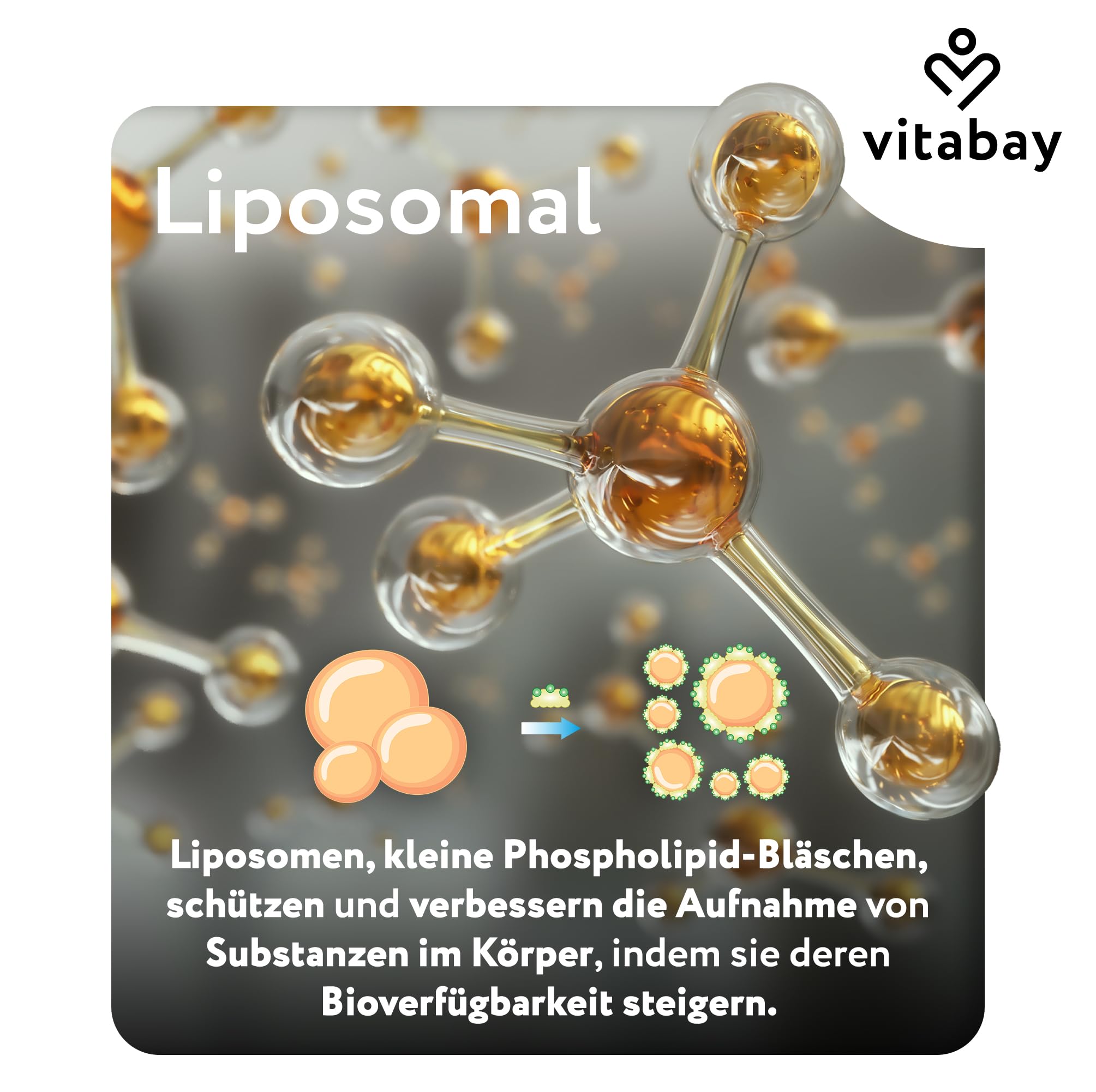 Vitabay Nattokinase 2.000 FU hochdosiert – 180 vegane Softgel-Kapseln – liposomale Nattokinase aus fermentierten Sojabohnen – ohne Vitamin K2, ohne Zusatzstoffe & laborgeprüft – Vorrat 6 Monate