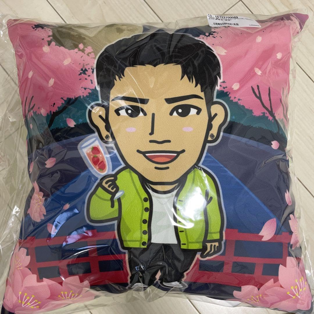 小波津志 クッション
