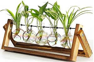 XXXFLOWER Terrarium with Wooden Stand for Hydroponics Home Decor