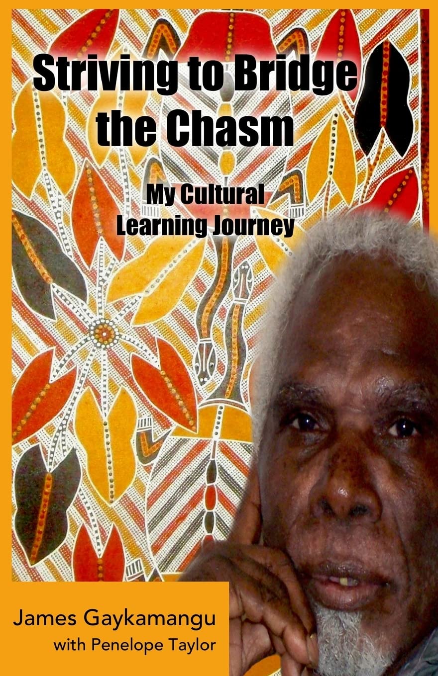 Striving to Bridge the Chasm: My Cultural Learning Journey