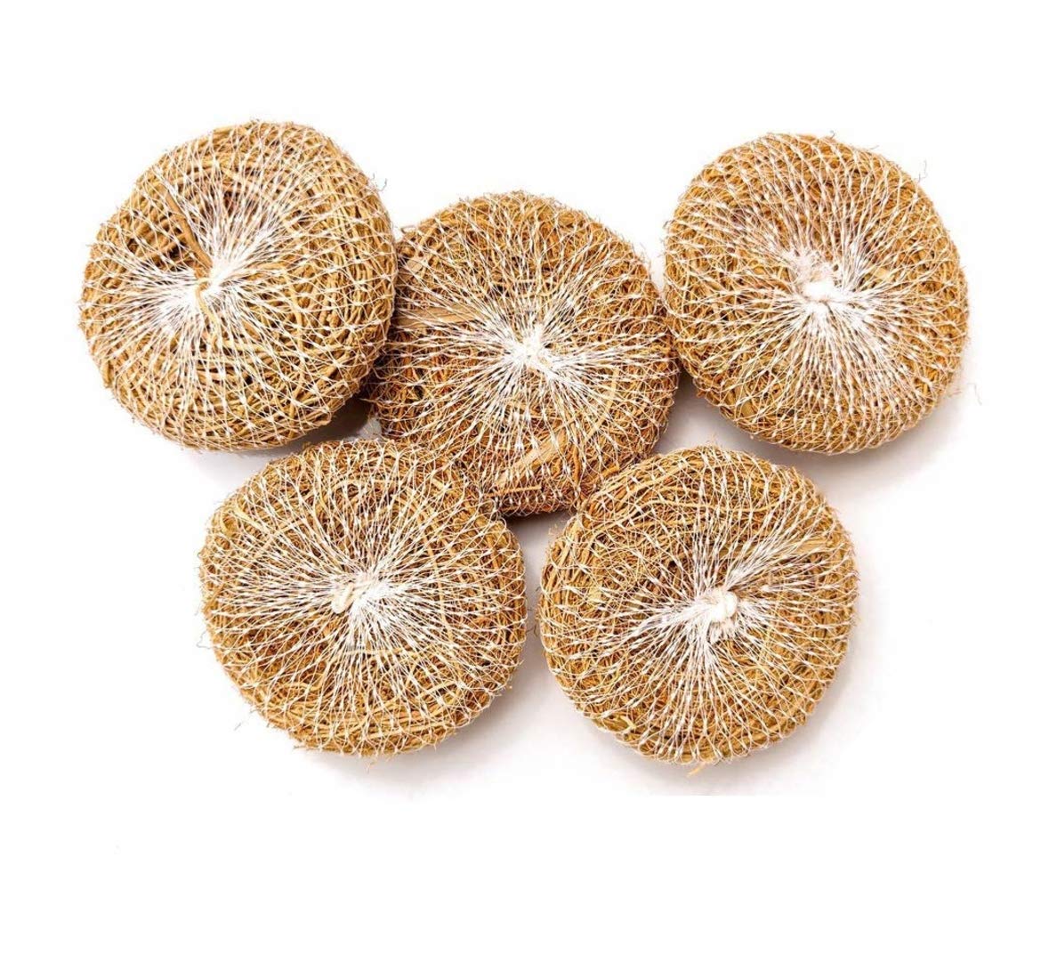 RCare Kerala Traditional Ayurvedic Long Lasting Handmade Ramacham Herbal Bath Scrubber For Women & Men (Pack 1)-image-10