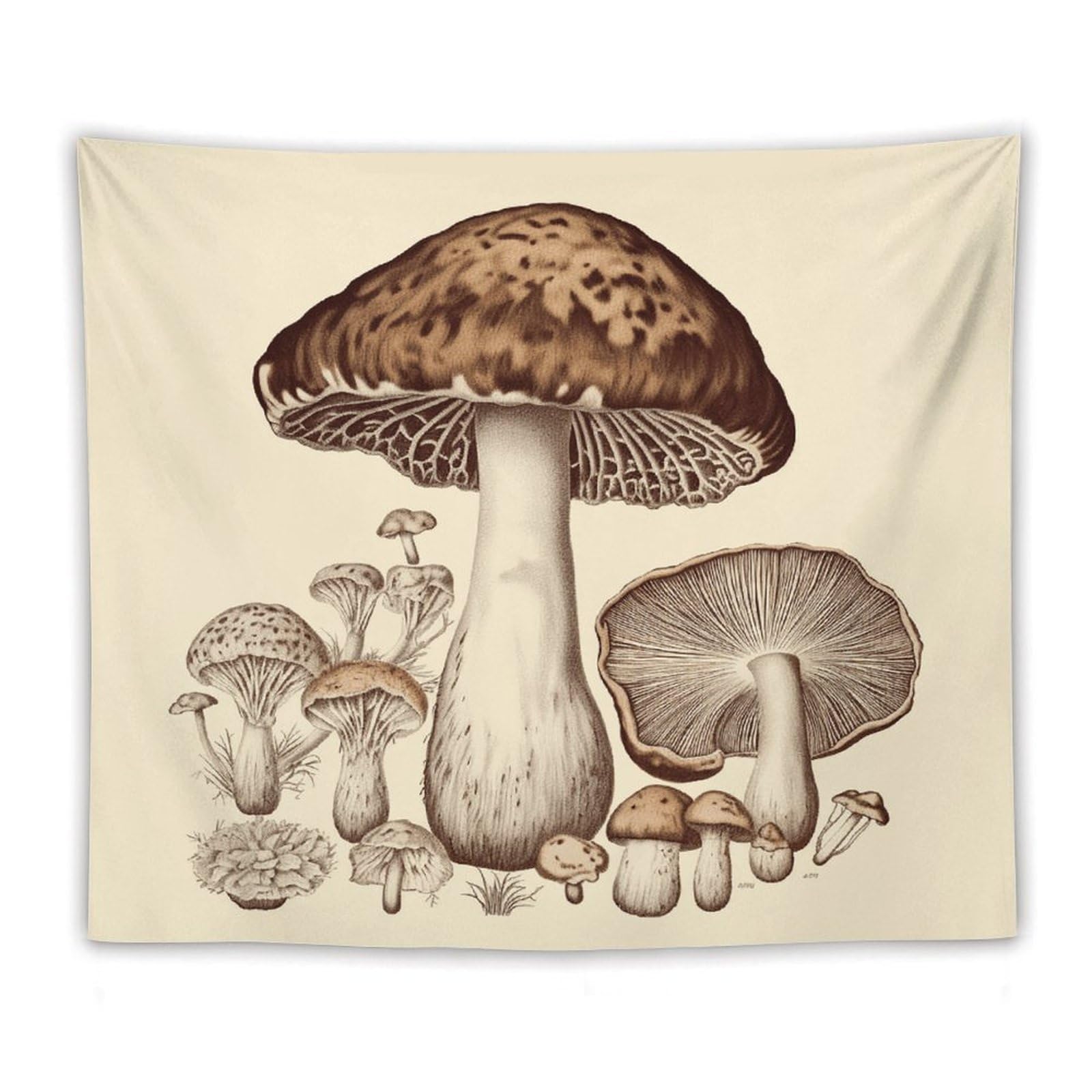 LDGSUPH Vintage Mushrooms Drawing Tapestry Wall Hanging Decor Anti-fading Aesthetic Wall Tapestries Fashion Wall Blanket Decor Modern Wall Art Tapestry for Bedroom Home Decor 50"x60"