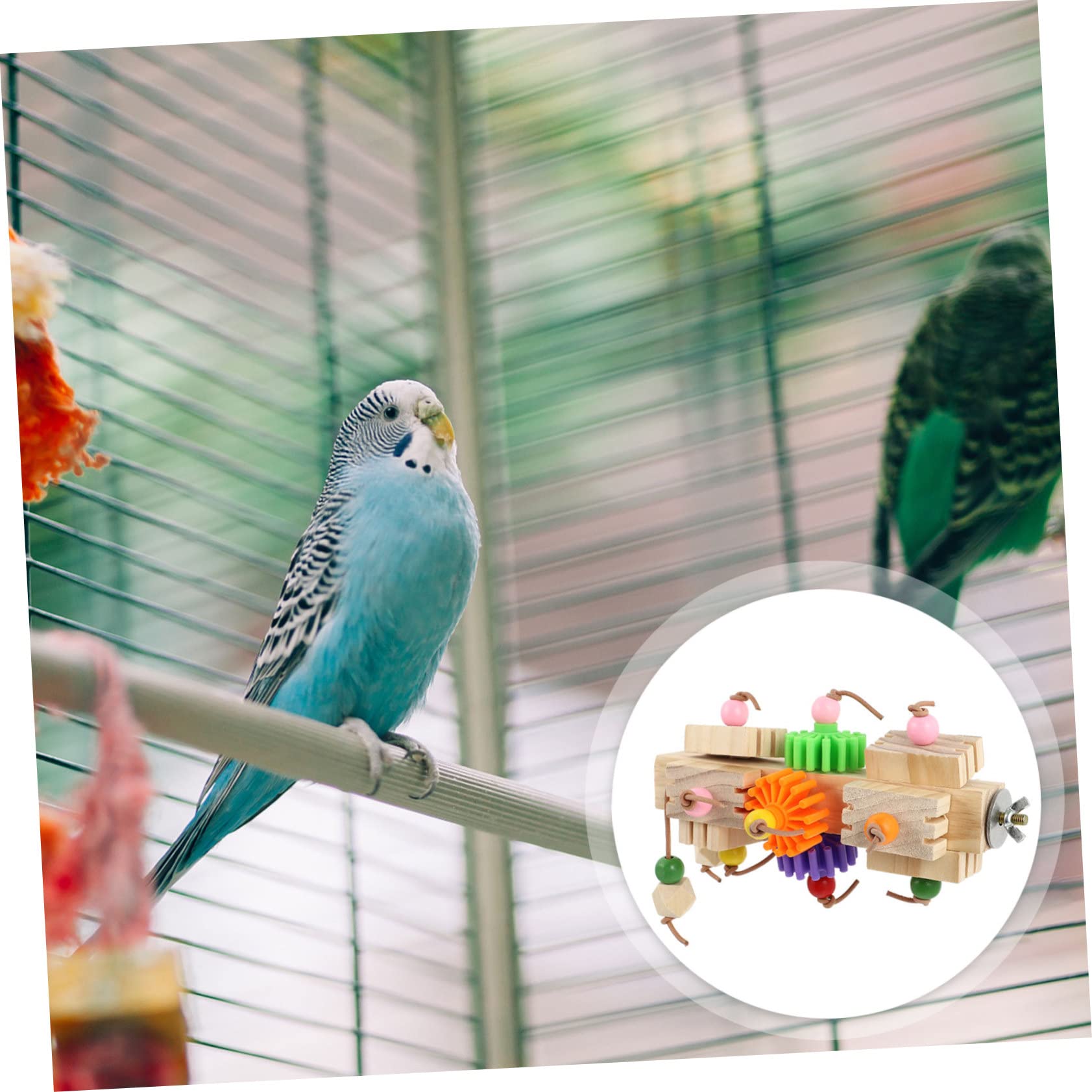 Hohopeti Vogelspielzeug für Papageien, Kausicheres Spielzeug | Kleine und Mittelgroße Vögel, Verschleißfest und Bissresistent, Käfigzubehör