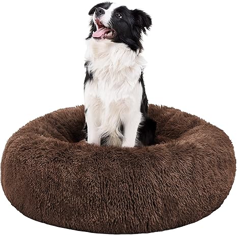 large dog beds under $20