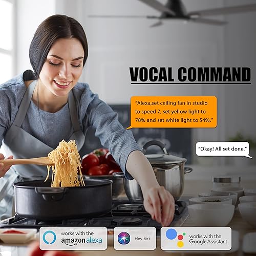 Miniatura 4 de Ventilador de techo inteligente de perfil bajo con luces, ventilador de techo inteligente de 10 velocidades DC con control remoto, compatible con