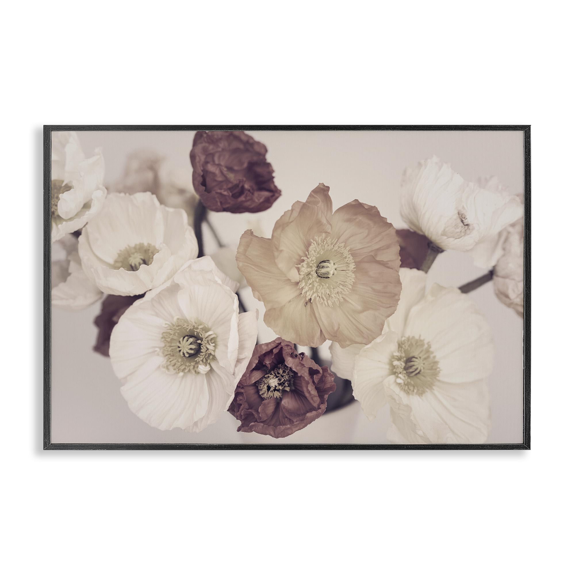 Décoration murale florale Stupell Industries Open Blooms cadre marron 40x61 cm affiche salon moderne