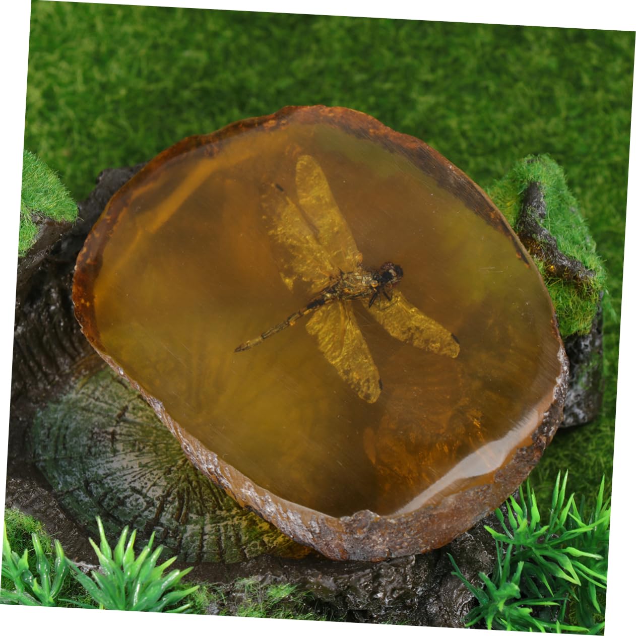 Ciondolo In Ambra Con Incluso - Pendente Con Farfalla Fossile, Design Unico | Per Collezionisti E Appassionati - Foto 13