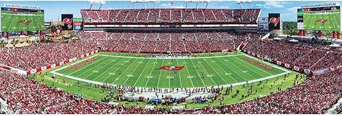 Vista 29 de Obras maestras NFL Estadio rompecabezas panorámica, 1000-Piece