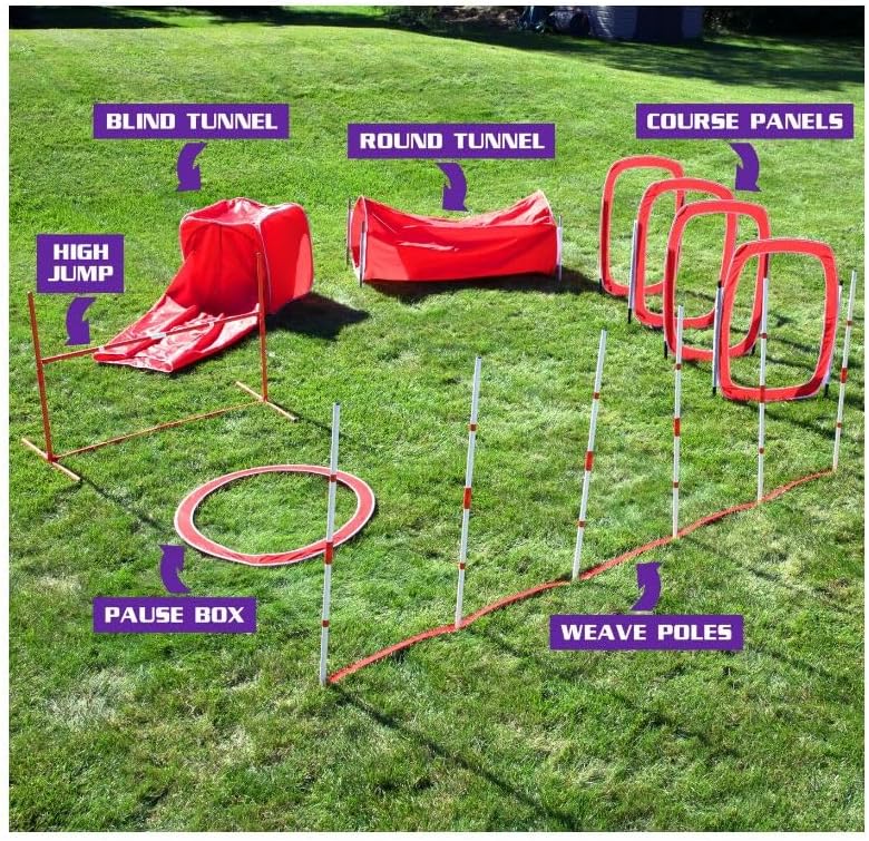 6-Piece Large Agility Training for Dogs - Affordable Training Kit for Dogs, red (CM-10026-CS01)