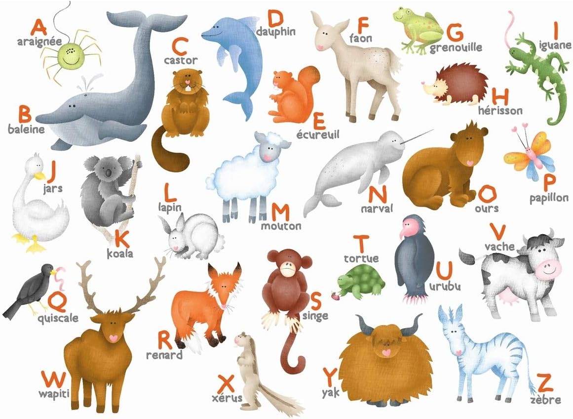 L'alphabet des animaux: HANNAH WEEKS