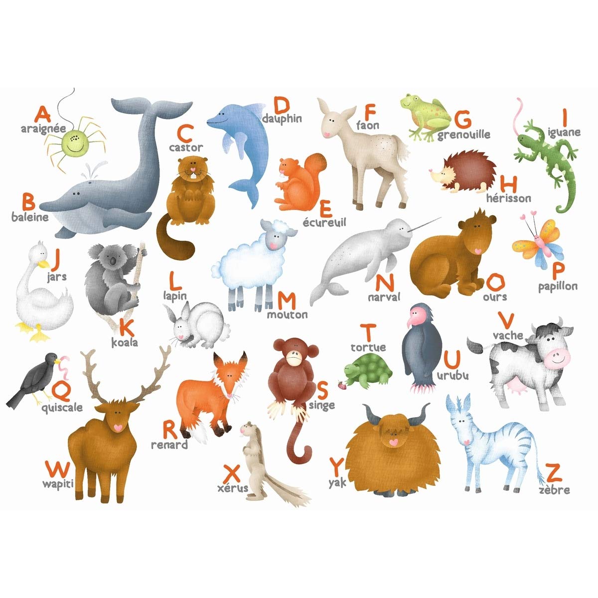 L'alphabet des animaux: HANNAH WEEKS