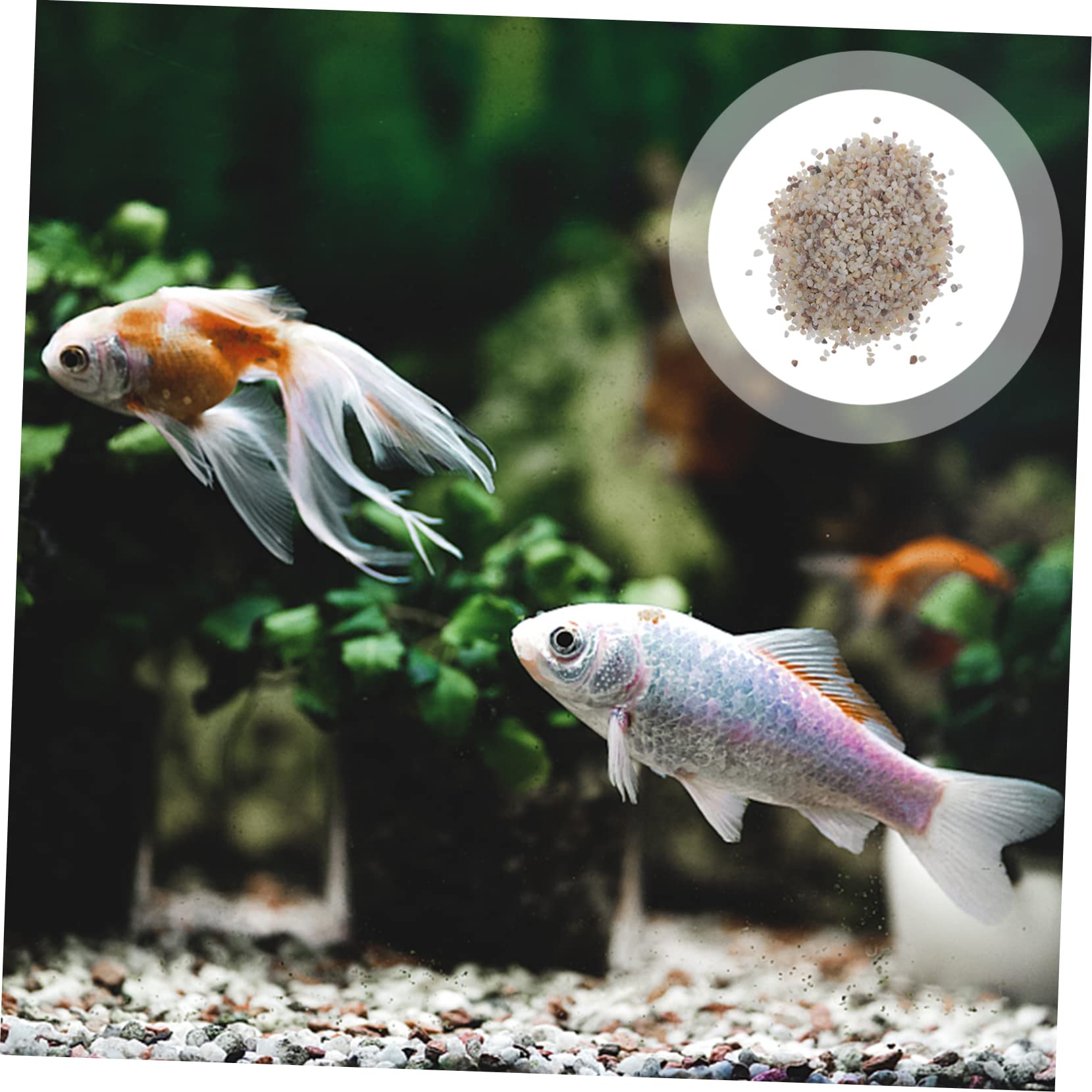 1ensemble Gravier Naturel Polissé pour Aquarium Sable Décoratif pour Réservoirs Eau Douce Et Accessoire Sécurisé pour Poissons Et Plantes