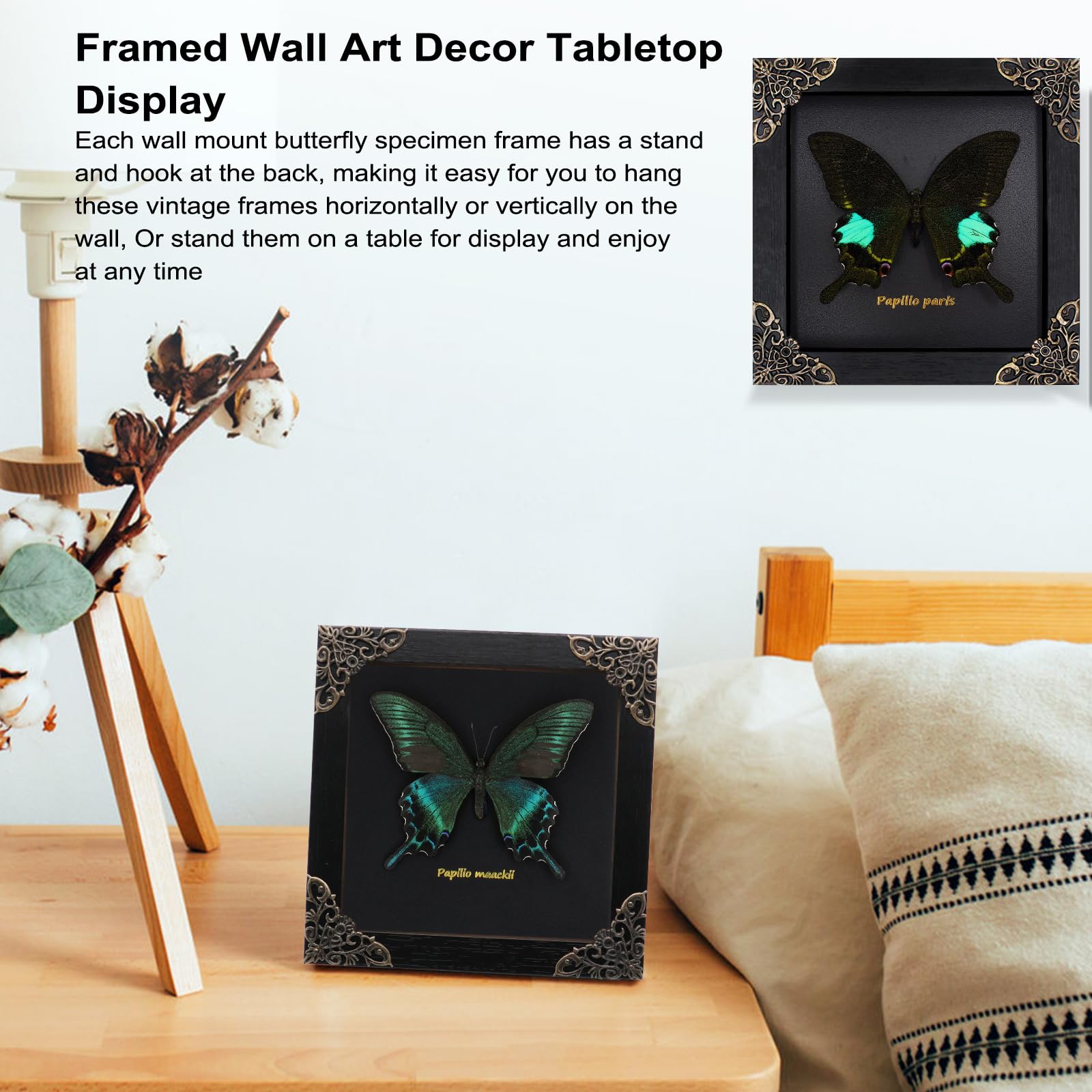 Butterfly Framed Decoration Handmade Taxidermy Butterfly Shadow Box Collection Framed Butterfly for Oddities and Curiosities Gifts for Victorian Dark Academia Goth Wall Decor