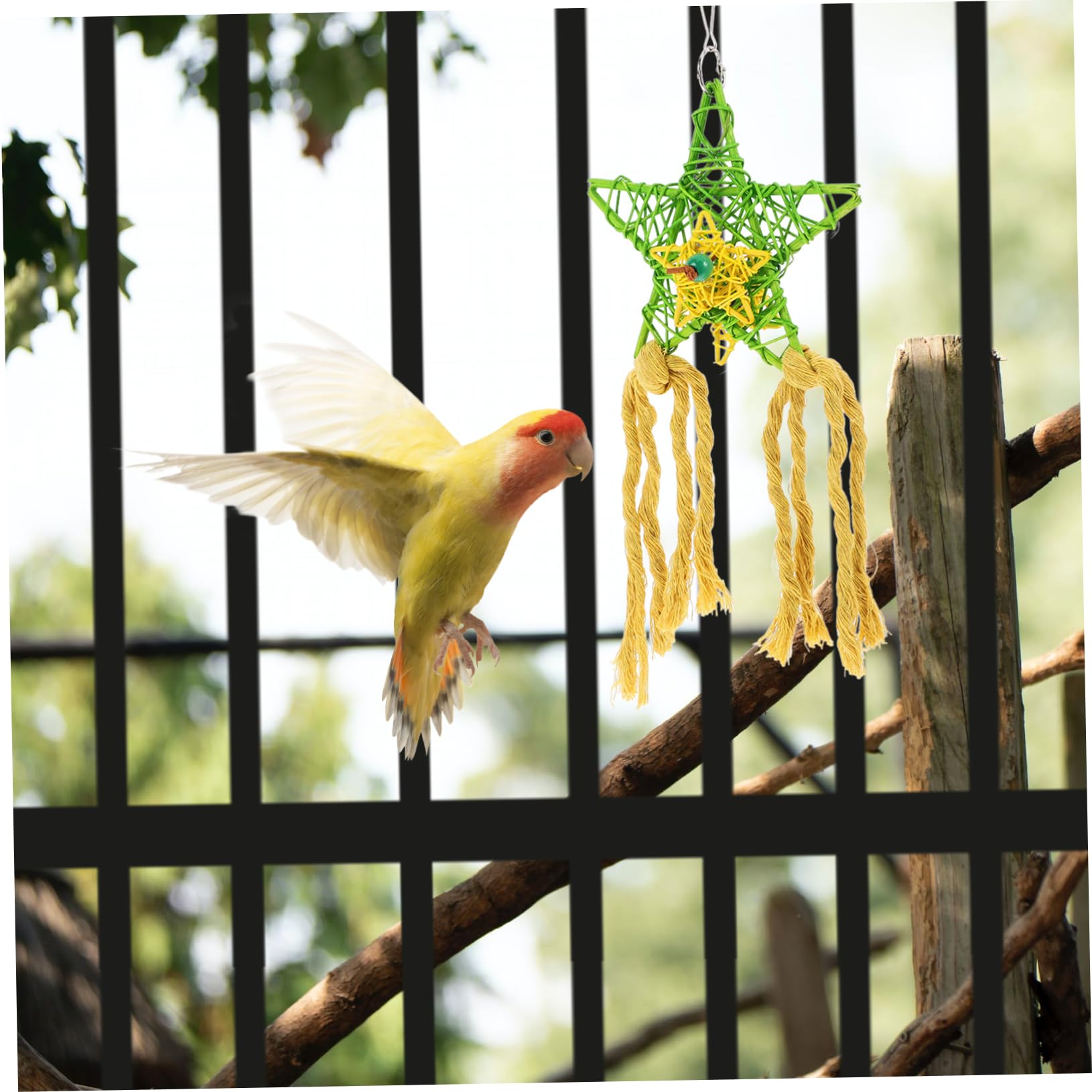 Ensemble De 3 Jouets À Mâcher pour Oiseaux Déchiqueteuse De Papier en Rotin pour Perroquet Jouets À Mâcher pour Bec Doiseau pour Calopsitte